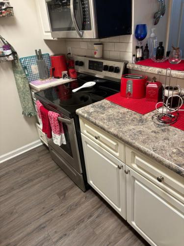 Townhouse World Cup Pet-Friendly Gated Community in Sandtown-Southeastern Atlanta