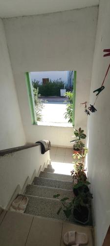 Budget Apartment in Libofshë (Budget Apartment in Libofshe) in 科洛涅