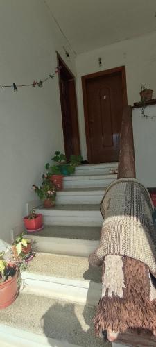 Budget Apartment in Libofshë (Budget Apartment in Libofshe) in 科洛涅
