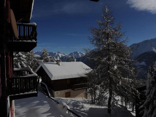 Comfy Apartment in Riederalp with Balcony - image 8