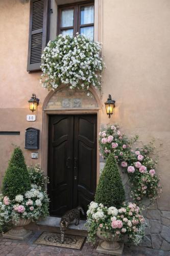 Holiday House Antica Dimora Soggiorni in langa centro storico La Morra