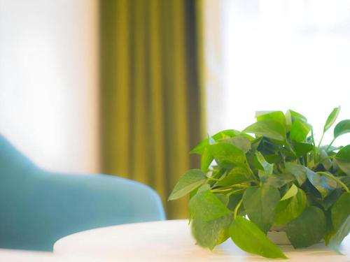 Vatica Tianjin Jinnan District AEON Shopping Plaza Hotel – Tianjin, GA