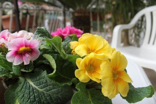  Residence Antica Via Ostiense. in Stadtviertel Acilia