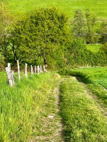 Apkārtne, FEWO Unterm Stein - Hänsel & Gretel - bis 5 Gäste (FEWO Unterm Stein - Hansel & Gretel - bis 5 Gaste) in Alheim