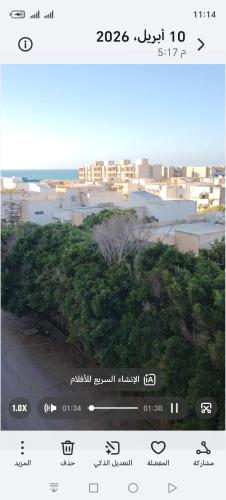 زهراء العجمى الهانوفيل in Agami