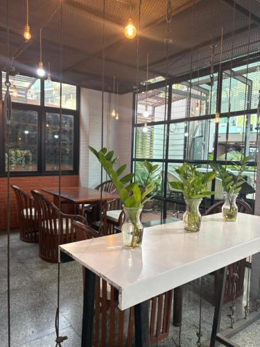 18 coins budget hotel photo 5