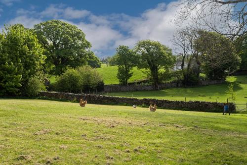 The Hen House in Old Hutton
