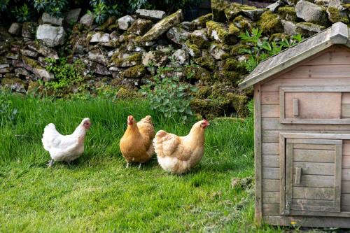 The Hen House in Old Hutton