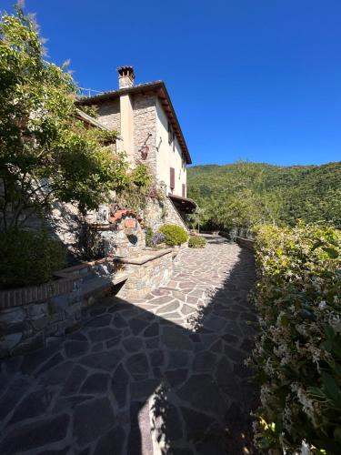 Casa Fior di Bosco in Fosciandora