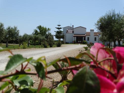 Il Pagio - image 4