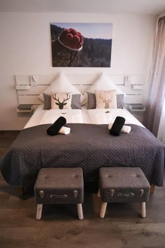 Albview-Apartment1 -zentral-Nähe Klinik-Therme-Agilent in Waldbronn, Deutschland