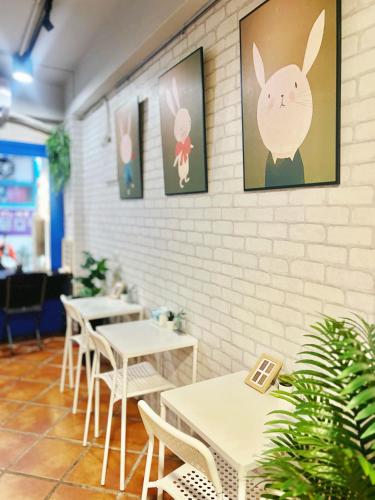tourist Bunny Hostel in Tamsui negyed