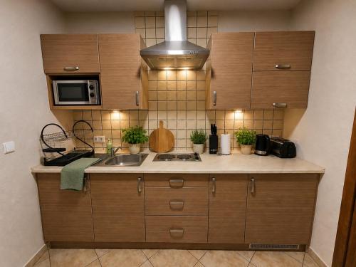Apartamenty Starka - aneks kuchenny, trasy spacerowe, szlaki turystyczne, pobyt z psem obrázok