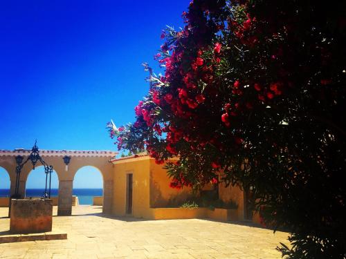 Apartamento Centro Portimao