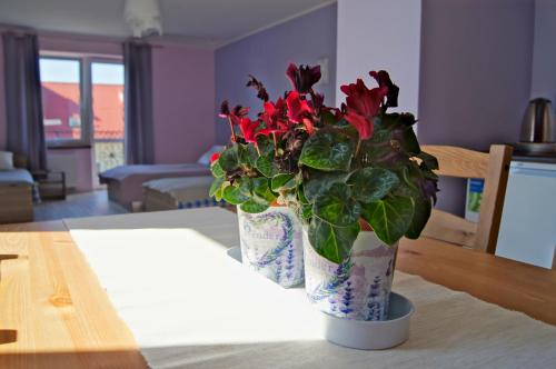 Villa Terra in Прущ-Ґданський