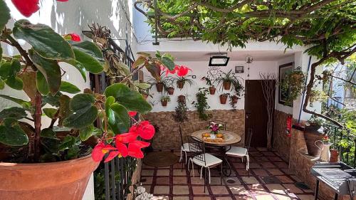 Casa Almenta - Tu hogar para desconectar en el pueblo más bonito de Málaga (Casa Almenta - Tu hogar para desconectar en el pueblo mas bonito de Malaga) in Benalauria