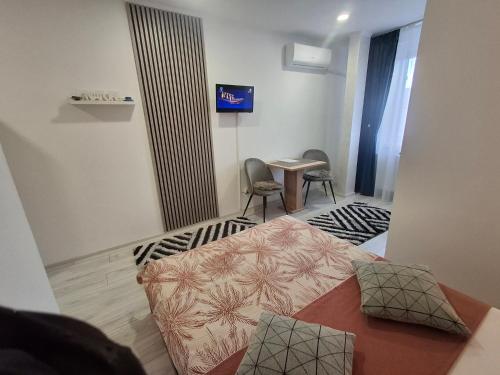 Studio Elvetia, Deva (foto 8)