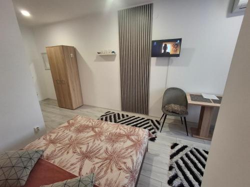 Studio Elvetia, Deva (foto 9)