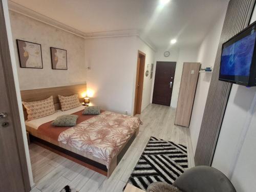 Studio Elvetia, Deva (foto 3)
