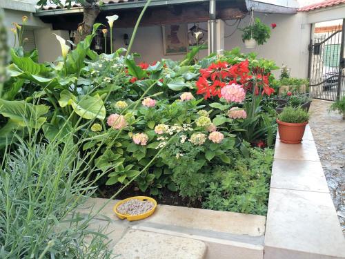 Guesthouse Kresic, Split (foto 9)