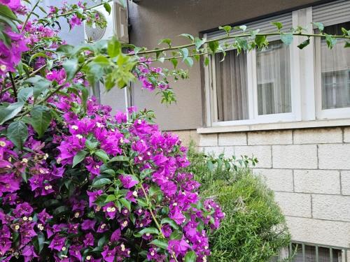 Apartment Ana – khách sạn tại Poljud