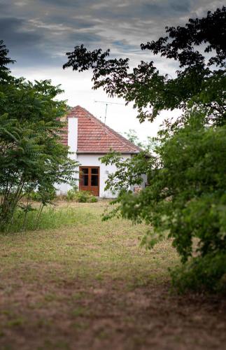 Gaia's Garden - Traditional Slow Living Farmhouse in Šupljak