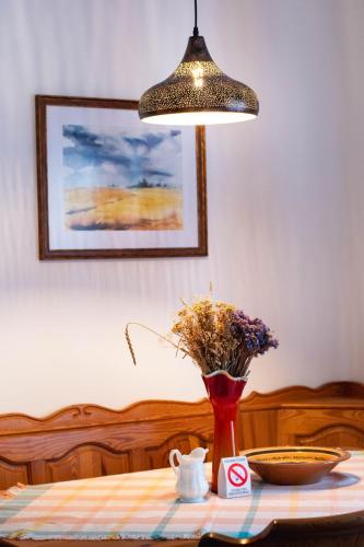 Gaia's Garden - Traditional Slow Living Farmhouse in Šupljak