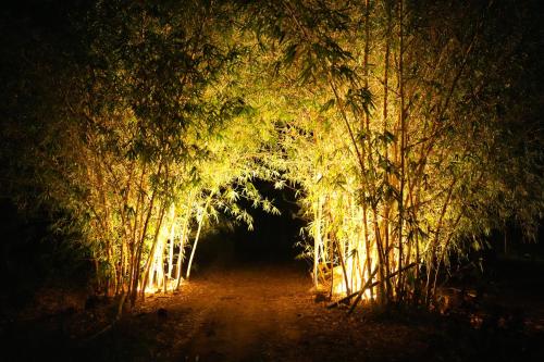 Garden, Secret Ashram Coorg in Coorg