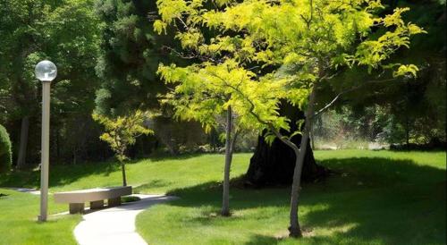 Club Lakeridge Resort - image 4