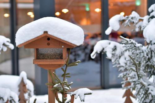 Hotel Sommerau - image 11