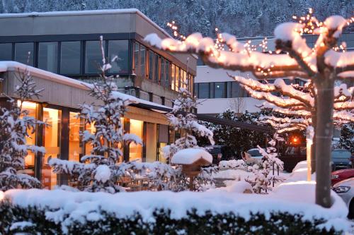 Hotel Sommerau - image 9