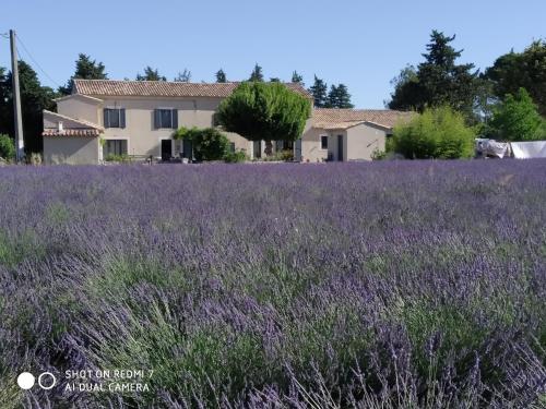 Le Mas des Calus Chambres d'hôtes
