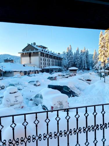 . Ilgaz Mountain Hotel Resort