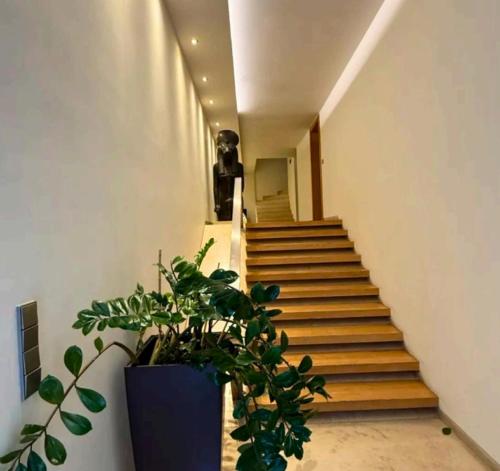 Premium 2-floor duplex - image 4