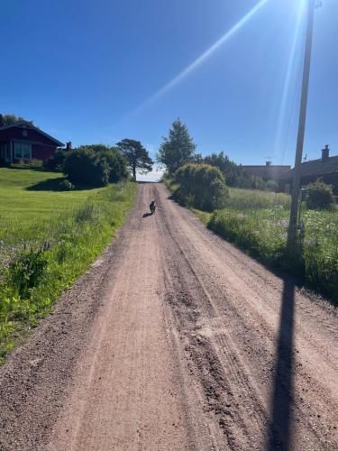 A környék, Stugan i Gesunda in Solleron
