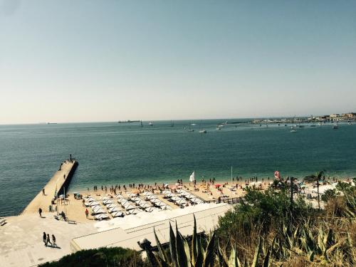 Saboia House 515 by Saboia Collection Saboia House 515 by Saboia Collection