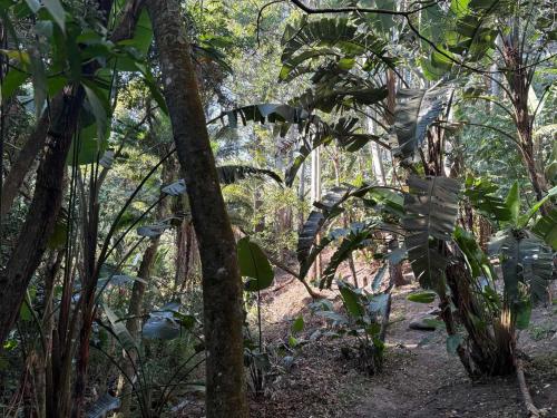 Vistas, Kholiwe 2 - 2 sleeper glamping in a forest in Port Edward