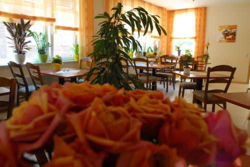 安姆潘酒店 (Hotel Am Pan) in 萊茵河畔埃默里希