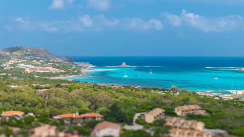 Stintino Cala Rosa con Vista Mare - Polipo