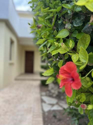 STAY Golden Hour House – khách sạn tại Perivolia