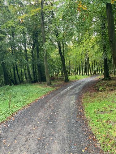 Surrounding environment, Tranquil Lodge Retreat in Northumberland in Shilbottle
