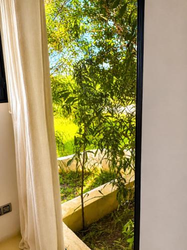 Palais Pleya - image 3