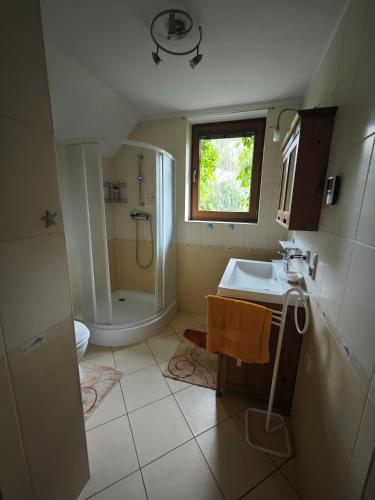 Bathroom, Wiesiowka nad Wkra in Bledowko