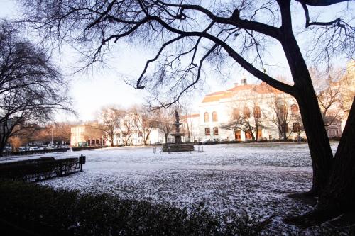 Apartment with Shower