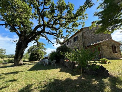 Agriturismo Il Meriggio a 12 minuti dalle Terme di Saturnia 5