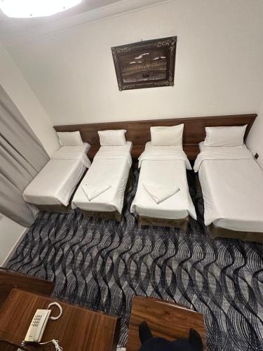 Benon Al Hadithah Hotel - image 2