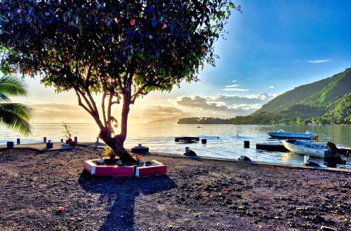 Attraksjoner i nærheten, Teahupo'o Lodge Tahiti - Maison familiale au cœur du village - Canoës inclus (Teahupo'o Lodge Tahiti - Maison familiale au cœur du village - Canoes inclus) in Teahupo'o