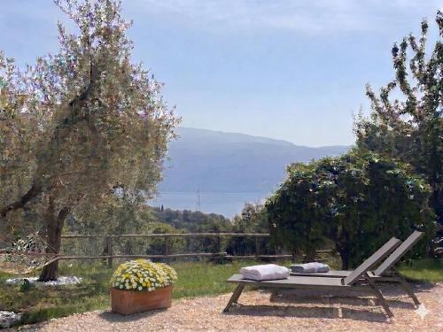 Dream Gardasee Chalet con giardino mediterraneo