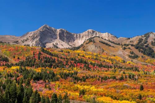 Powder Peak Place - image 3