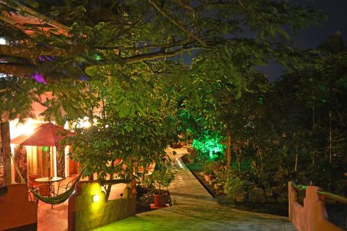 Lava House Hostal